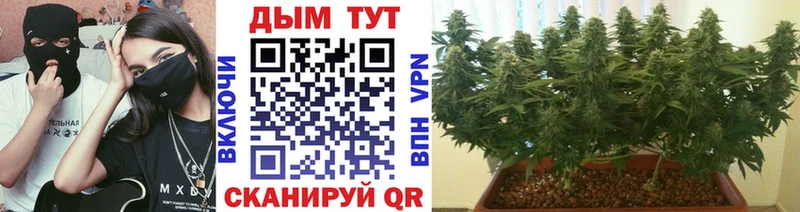 как найти закладки ОМГ ОМГ онион Конопля семена Новая Ладога